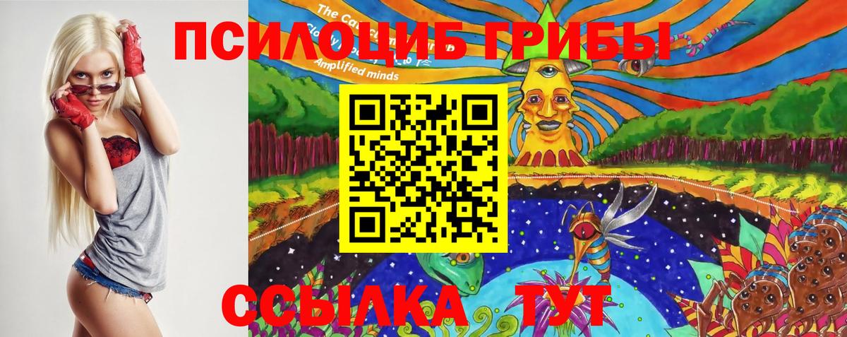 Холмск  Псилоцибиновые грибы Magic Shrooms  Вход с VPN 